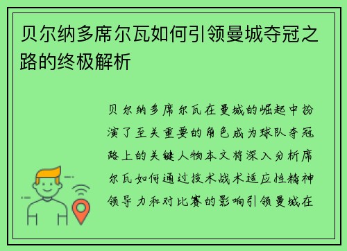 贝尔纳多席尔瓦如何引领曼城夺冠之路的终极解析